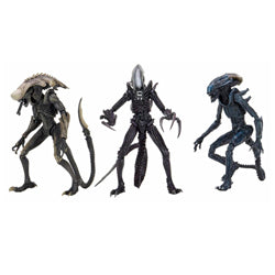 ALIEN VS PREDATOR FIGURE DECO ALIEN 14 SET