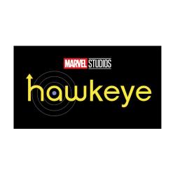 2023 MARVEL HAWKEYE TRADING CARDS